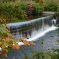 Fall 011