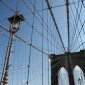 NYC 099