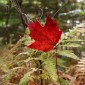OCT11  (76)