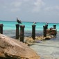 los roques 163