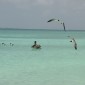 los roques 598